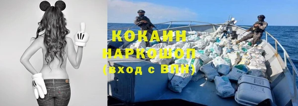 крисы Аркадак