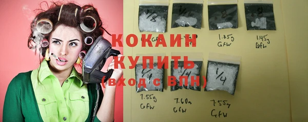 крисы Аркадак