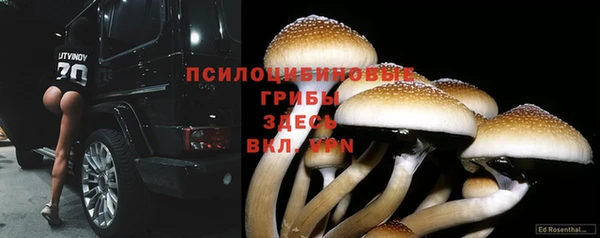 ALPHA-PVP Арсеньев