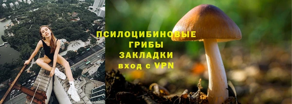 ALPHA-PVP Арсеньев