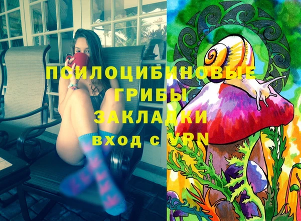 крисы Аркадак
