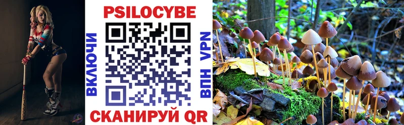 наркошоп  Сольвычегодск  Галлюциногенные грибы прущие грибы 